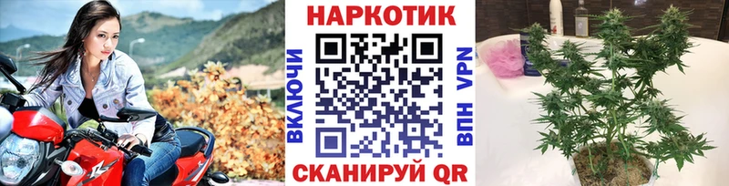 Купить наркотики сайты Лениногорск Псилоцибиновые грибы  Меф мяу мяу  ГАШ  СК  АМФ 