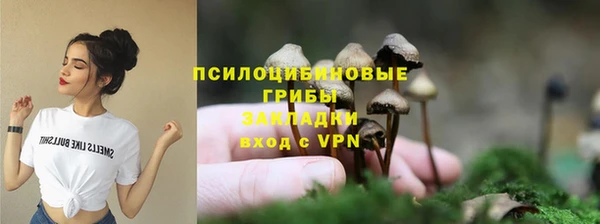 ECSTASY Алексин