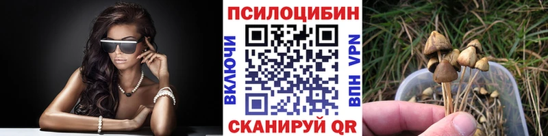 Псилоцибиновые грибы Psilocybine cubensis  omg tor  Лениногорск 