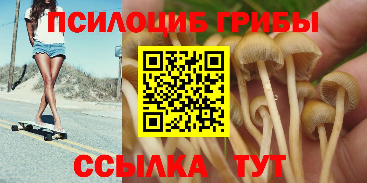 Галлюциногенные грибы GOLDEN TEACHER Лениногорск